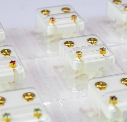 Kolczyki Studex komplet kamieni w pazurkach złote(r)