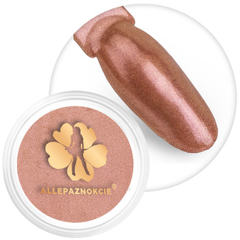 Pyłek do paznokci Chameleon Effect Allepaznokcie Nr 14