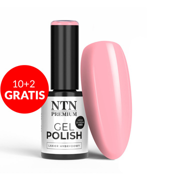 10+2gratis Lakier hybrydowy NTN Premium Limited Edition HEMA/Di-HEMA Free 5g Nr 344