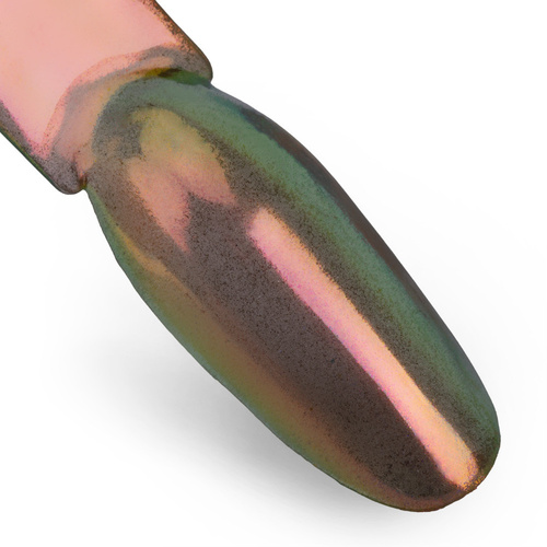 Pyłek do paznokci Chameleon premium Allepaznokcie elegance 0,5 g Nr 2