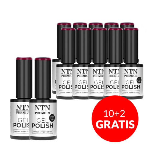 10+2gratis Lakier hybrydowy NTN Premium Passion for Love Collection HEMA/Di-HEMA Free 5g Nr 204