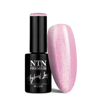 Lakier hybrydowy NTN Premium Birthday Party Collection 5g Nr 48