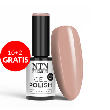 10+2gratis Lakier hybrydowy NTN Premium Splash Collection HEMA/Di-HEMA Free 5g Nr 120