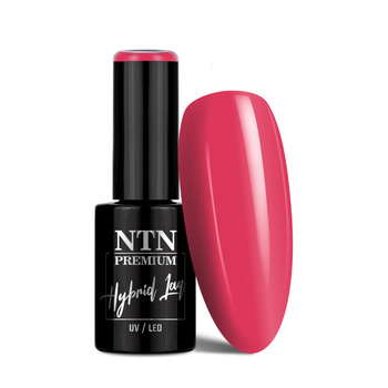 Lakier hybrydowy NTN Premium Limited Edition 5g Nr 341
