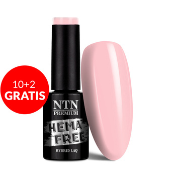 10+2gratis Lakier hybrydowy NTN Premium Delicate French HEMA/Di-HEMA Free 5g Nr 299
