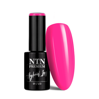 Lakier hybrydowy NTN Premium Delight Sorbet Collection 5g Nr 151
