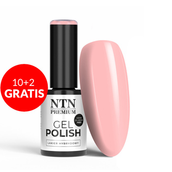 10+2gratis Lakier hybrydowy NTN Premium Soft Touch Collection HEMA/Di-HEMA Free 5g Nr 02