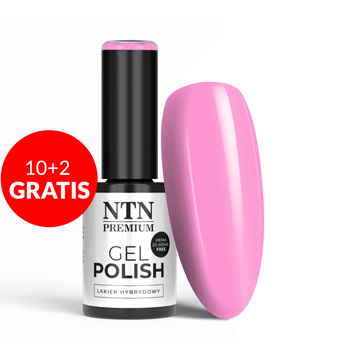 10+2gratis Lakier hybrydowy NTN Premium Splash Collection HEMA/Di-HEMA Free 5g Nr 124