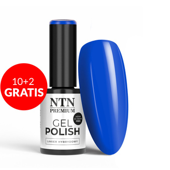 10+2gratis Lakier hybrydowy NTN Premium Springtime selfie HEMA/Di-HEMA Free 5g Nr 287