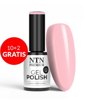 10+2gratis Lakier hybrydowy NTN Premium Delicate French HEMA/Di-HEMA Free 5g Nr 300