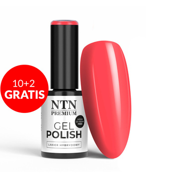 10+2gratis Lakier hybrydowy NTN Premium Dessert Collection HEMA/Di-HEMA Free 5 g Nr 91