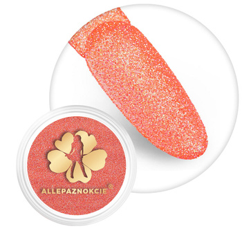 Brokat do paznokci w słoiczku Nr 113 2g