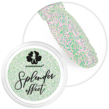 Pyłek do paznokci Splendor Allepaznokcie słoiczek 2 g Nr 1