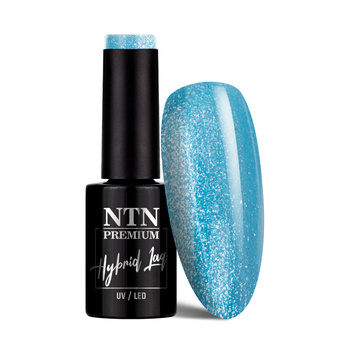 Lakier hybrydowy NTN Premium Springtime selfie 5g Nr 288