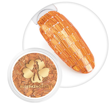 Ozdoba do paznokci Hologram secret Nr 03