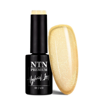 Lakier hybrydowy NTN Premium Limited Edition 5g Nr 411
