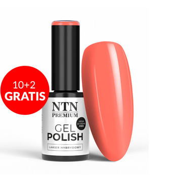 10+2gratis Lakier hybrydowy NTN Premium Delight Sorbet Collection HEMA/Di-HEMA Free 5g Nr 152
