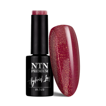 Lakier hybrydowy Ntn Premium Romantica Collection 5g Nr 102