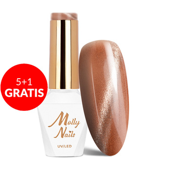 5+1gratis Lakier hybrydowy LED/UV Gel Polish Browns Cat Eye Metallic Nr 215 Molly Nails HEMA/Di-HEMA Free 8g