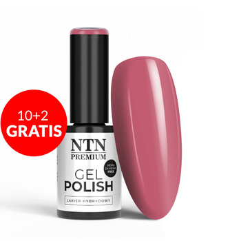 10+2gratis Lakier hybrydowy Ntn Premium Drama Queen HEMA/Di-HEMA Free 5g Nr 212