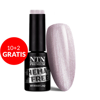 10+2gratis Lakier hybrydowy NTN Premium Day Dreaming Collection HEMA/Di-HEMA Free 5g Nr 56