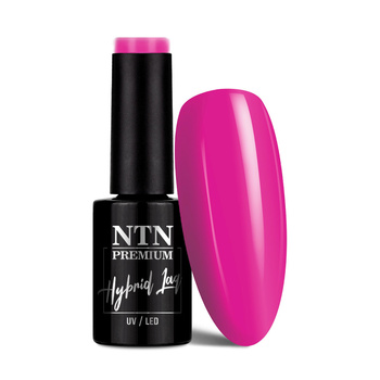 Lakier hybrydowy Ntn Premium Delight Sorbet Collection 5g Nr 150