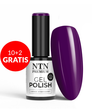 10+2gratis Lakier hybrydowy NTN Premium Viral colors HEMA/Di-HEMA Free 5g Nr 294