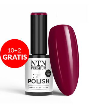 10+2gratis Lakier hybrydowy NTN Premium Passion for Love Collection HEMA/Di-HEMA Free 5g Nr 204