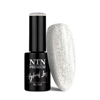 Lakier hybrydowy NTN Premium Limited Edition 5g Nr 317