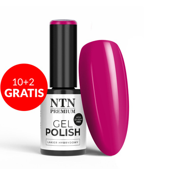10+2gratis Lakier hybrydowy LED/UV Gel Polish Purples Nr 490 Limited Edition NTN Premium HEMA/Di-HEMA Free 5g