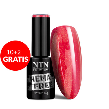 10+2gratis Lakier hybrydowy NTN Premium Springtime selfie HEMA/Di-HEMA Free 5g Nr 281