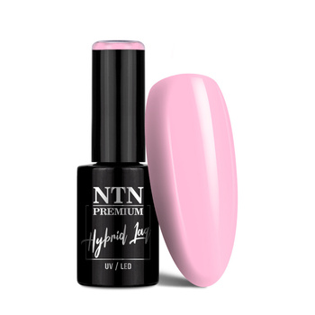 Lakier hybrydowy NTN Premium Dessert Collection 5g Nr 93