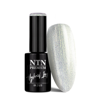 Lakier hybrydowy NTN Premium Limited Edition 5g Nr 316