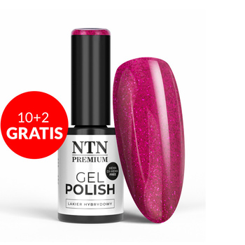 10+2gratis Lakier hybrydowy NTN Premium Passion for Love Collection HEMA/Di-HEMA Free 5g Nr 205
