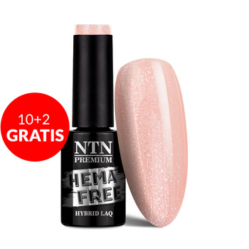 10+2gratis Lakier hybrydowy NTN Premium Day Dreaming Collection HEMA/Di-HEMA Free 5g Nr 63