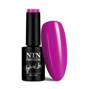 Lakier hybrydowy NTN Premium Limited Edition 5g Nr 421
