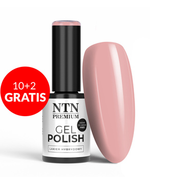 10+2gratis Lakier hybrydowy NTN Premium Uptown Girl Collection HEMA/Di-HEMA Free 5g Nr 22