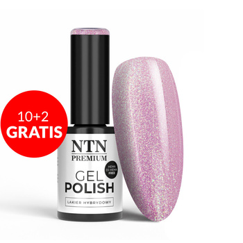 10+2gratis Lakier hybrydowy NTN Premium Delight Sorbet Collection HEMA/Di-HEMA Free 5g Nr 149