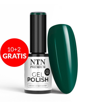 10+2gratis Lakier hybrydowy NTN Premium Uptown Girl Collection HEMA/Di-HEMA Free 5g Nr 27