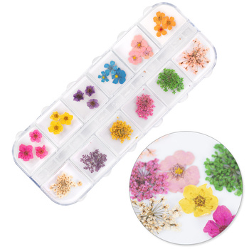 Suszone kwiaty do zdobień paznokci w kasetce Molly Nails rodzaj B 36szt