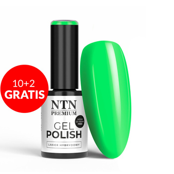 10+2gratis Lakier hybrydowy NTN Premium Limited Edition HEMA/Di-HEMA Free 5g Nr 432