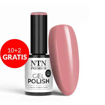 10+2gratis Lakier hybrydowy NTN Premium Day Dreaming Collection HEMA/Di-HEMA Free 5g Nr 58
