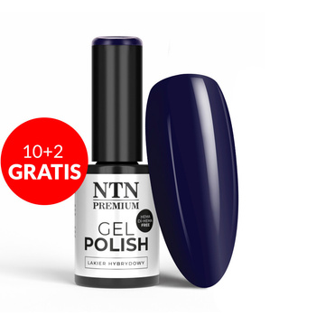 10+2gratis Lakier hybrydowy NTN Premium Oriental Delice HEMA/Di-HEMA Free 5g Nr 266