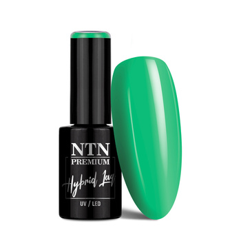Lakier hybrydowy NTN Premium Limited Edition 5g Nr 371