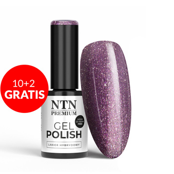 10+2gratis Lakier hybrydowy NTN Premium Uptown Girl Collection HEMA/Di-HEMA Free 5g Nr 19