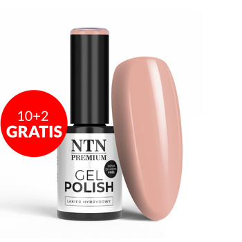 10+2gratis Lakier hybrydowy NTN Premium Day Dreaming Collection HEMA/Di-HEMA Free 5g Nr 60