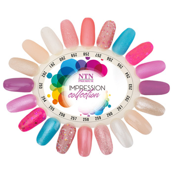 Wzornik Ntn Premium Impression połysk i mat 10 kolorów