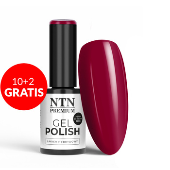 10+2gratis Lakier hybrydowy NTN Premium Celebration Collection HEMA/Di-HEMA Free 5g Nr 171