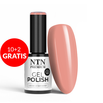 10+2gratis Lakier hybrydowy LED/UV Gel Polish Nudes Nr 461 Limited Edition NTN Premium HEMA/Di-HEMA Free 5g