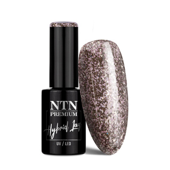 Lakier hybrydowy NTN Premium Limited Edition 5g Nr 413